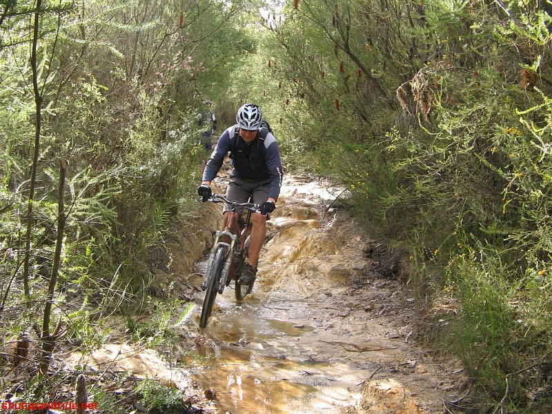 20080727-Mooney 126.jpg